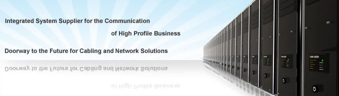 Millennium Structured Networks. Integrated system supplier for the communication of business